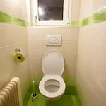 Schiffer Apartment
