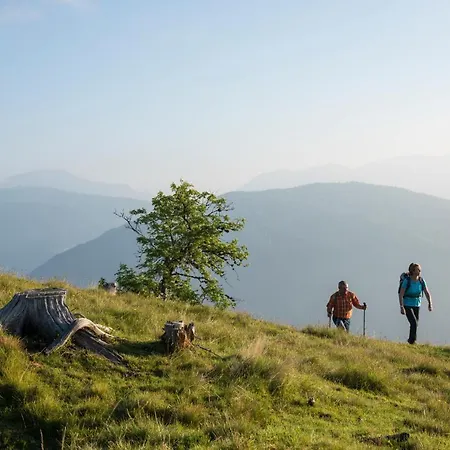 Apartamento Appartements Schiffer Innerkrems Innerkrems