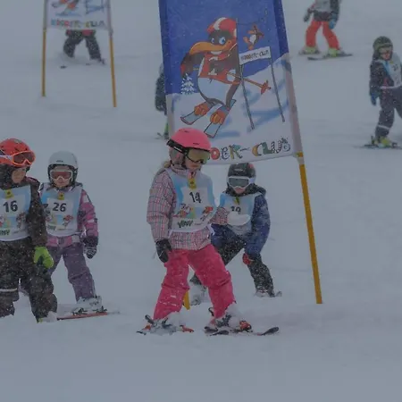 Apartment Ski- Und Wander Schiffer Innerkrems
