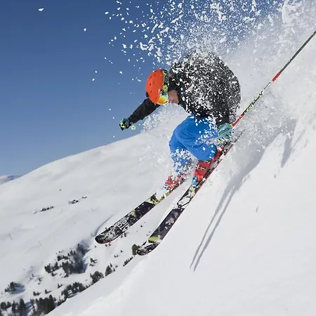 Apartment Ski- Und Wander Schiffer Innerkrems